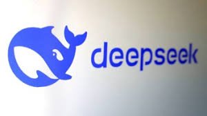 From Jaipur to DeepSeek: The Call for Open Source and a Human AI Project